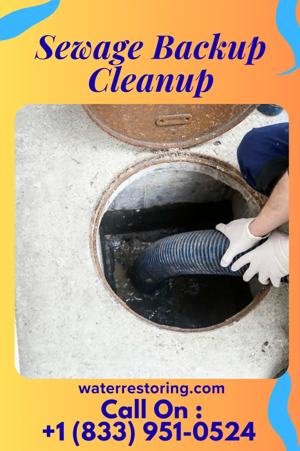 Sewage Backup Cleanup in Fairfax, SC